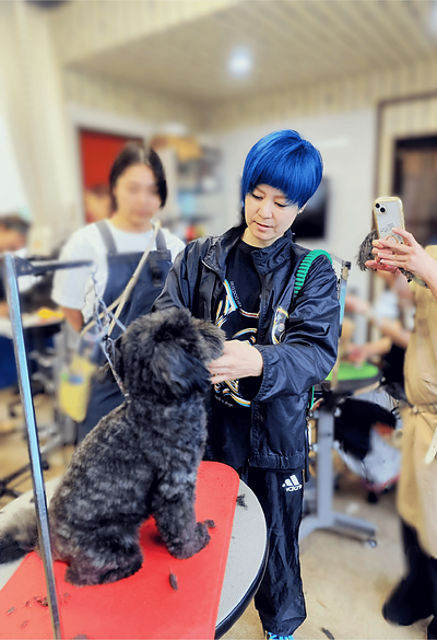 プログルーマーの育成