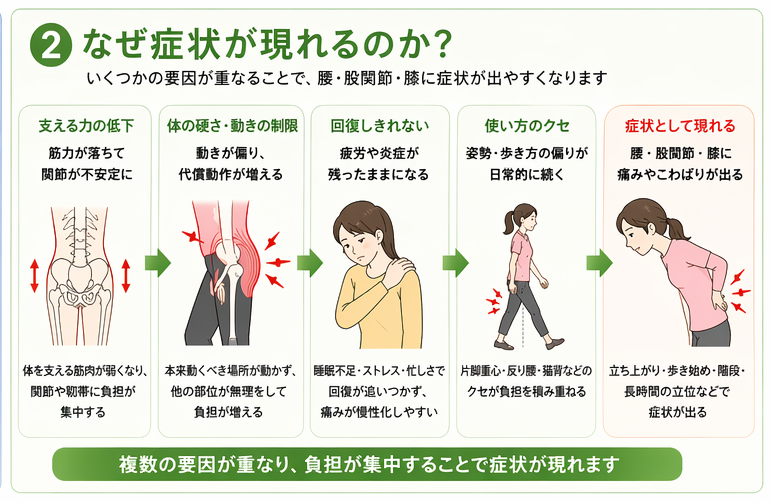「なぜ症状が現れるのか？」をまとめた図解。