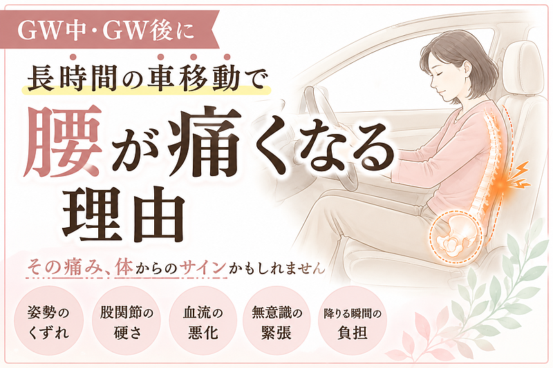 GW中やGW後に、長時間の車移動で腰が痛くなる理由を解説する記事用のサムネイル画像です。車内で座り続けることで骨盤や股関節が固まり、腰へ負担がかかる様子を、40〜50代女性にも伝わりやすい医療イラスト風に表現しています。