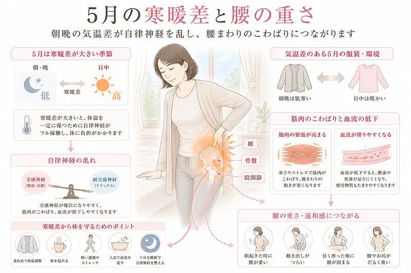 5月の朝晩と日中の寒暖差が自律神経に負担をかけ、筋肉のこわばりや血流低下を起こし、腰の重さにつながることを表した図解です。朝起きた時の腰の固まりや、動き出しのつらさを感じる方に向けて、季節性の腰痛の原因をわかりやすく説明しています。
