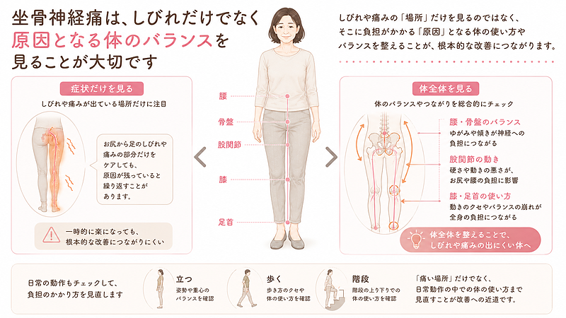 坐骨神経痛では、しびれや痛みが出ている場所だけをケアしても、根本的な改善につながりにくい場合があります。腰・骨盤・股関節・膝・足首のバランスを確認し、立つ・歩く・階段といった日常動作の中でどこに負担がかかっているかを見ることが大切です。体全体のバランスを整えることで、再発しにくい状態を目指します。