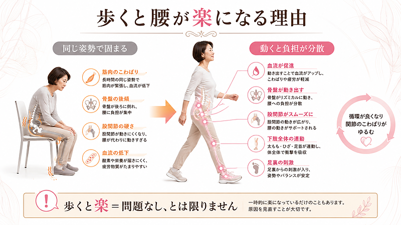 歩くと腰が楽になる理由を、座っている時のこわばりと歩き始めた後の負担分散で比較した図解です。同じ姿勢で腰・骨盤・股関節まわりが固まり、歩くことで血流や関節の動きが出て一時的に腰痛が軽くなる仕組みを解説しています。