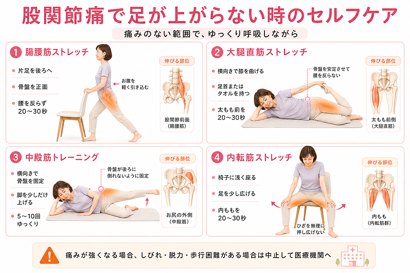 股関節痛で足が上がらない時に行いやすいセルフケアを4つに分けて解説した図解画像です。腸腰筋ストレッチ、大腿直筋ストレッチ、中殿筋トレーニング、内転筋ストレッチの姿勢と手順を、画像を見るだけで理解できるように整理し、無理のない範囲で股関節の動きを整える方法を示しています。 股関節痛で足が上がらない時に行いやすいセルフケアを4つに分けて解説した図解画像です。腸腰筋ストレッチ、大腿直筋ストレッチ、中殿筋トレーニング、内転筋ストレッチの姿勢と手順を、画像を見るだけで理解できるように整理し、無理のない範囲で股関節の動きを整える方法を示しています。