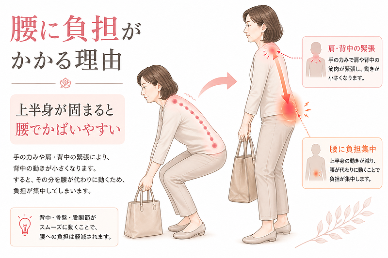 上半身の緊張が腰痛につながる理由を解説した図解画像です。手や肩、背中に力が入り体幹の動きが小さくなることで、腰が代わりに負担を受けやすくなる流れを表現しています。立ち上がりや荷物を持つ動作で腰がつらい方に向けた内容です。 上半身の緊張が腰痛につながる理由を解説した図解画像です。手や肩、背中に力が入り体幹の動きが小さくなることで、腰が代わりに負担を受けやすくなる流れを表現しています。立ち上がりや荷物を持つ動作で腰がつらい方に向けた内容です。
