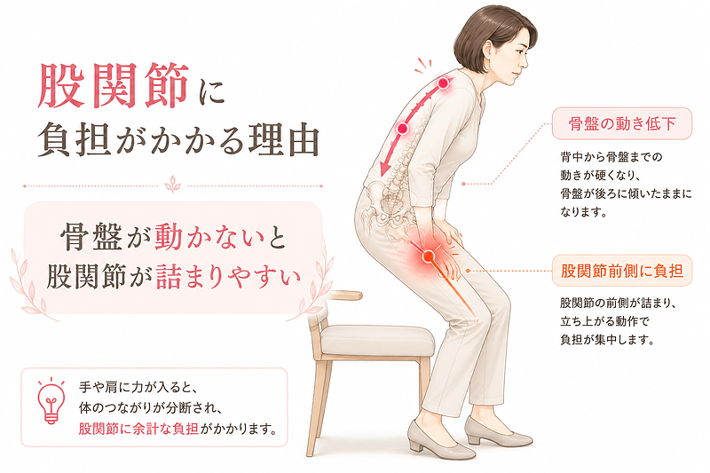 手や肩の力みが骨盤や股関節の動きに影響し、立ち上がり時の股関節前側の詰まりや負担につながる流れを解説した医療整体図解です。骨盤が動かないことで股関節に負担が集中しやすくなることを、40〜50代女性にもわかりやすいイラストで表現しています。 手や肩の力みが骨盤や股関節の動きに影響し、立ち上がり時の股関節前側の詰まりや負担につながる流れを解説した医療整体図解です。骨盤が動かないことで股関節に負担が集中しやすくなることを、40〜50代女性にもわかりやすいイラストで表現しています。