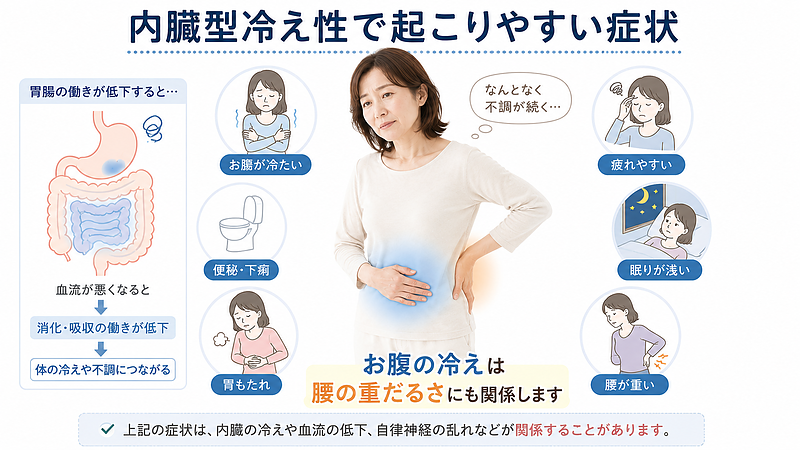 内臓型冷え性で起こりやすい、お腹の冷え、便秘・下痢、胃もたれ、疲れやすさ、眠りの浅さ、腰の重だるさをまとめた症状解説画像です。お腹の冷えが腰痛や体調不良に関係することを、40〜50代女性にもわかりやすく整理しています。 内臓型冷え性で起こりやすい、お腹の冷え、便秘・下痢、胃もたれ、疲れやすさ、眠りの浅さ、腰の重だるさをまとめた症状解説画像です。お腹の冷えが腰痛や体調不良に関係することを、40〜50代女性にもわかりやすく整理しています。