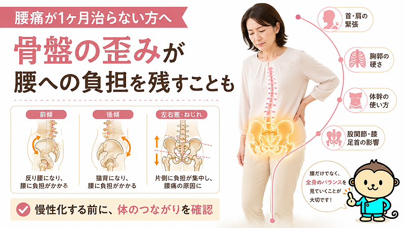 腰痛が1ヶ月治らない方に向けて、骨盤の歪みが腰への負担を残す仕組みを解説した医療整体図解です。骨盤の前傾・後傾・左右差に加え、股関節・膝・足首・胸郭など全身のつながりを示し、慢性化する前に体全体のバランスを見直す重要性を伝えています。 腰痛が1ヶ月治らない方に向けて、骨盤の歪みが腰への負担を残す仕組みを解説した医療整体図解です。骨盤の前傾・後傾・左右差に加え、股関節・膝・足首・胸郭など全身のつながりを示し、慢性化する前に体全体のバランスを見直す重要性を伝えています。