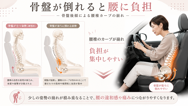 長距離運転中の浅い座り方や背中が丸まる姿勢によって、骨盤が後ろに倒れ、腰椎の自然なカーブが崩れる様子を比較した図解画像です。骨盤後傾により腰の筋肉や椎間板に負担が集中し、運転後の腰痛が起こりやすくなる理由をわかりやすく示しています。 長距離運転中の浅い座り方や背中が丸まる姿勢によって、骨盤が後ろに倒れ、腰椎の自然なカーブが崩れる様子を比較した図解画像です。骨盤後傾により腰の筋肉や椎間板に負担が集中し、運転後の腰痛が起こりやすくなる理由をわかりやすく示しています。