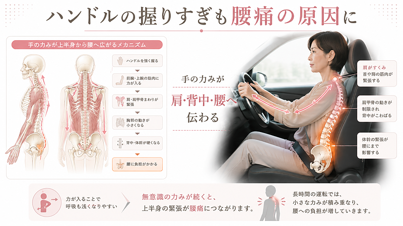 長距離運転中にハンドルを強く握ることで、手・前腕・肩・肩甲骨・背中・腰へ緊張が伝わる仕組みを解説した図解画像です。腰痛の原因を腰だけでなく上半身の力みからも捉え、運転中の肩や背中のこわばりが腰への負担につながることをわかりやすく示しています。 長距離運転中にハンドルを強く握ることで、手・前腕・肩・肩甲骨・背中・腰へ緊張が伝わる仕組みを解説した図解画像です。腰痛の原因を腰だけでなく上半身の力みからも捉え、運転中の肩や背中のこわばりが腰への負担につながることをわかりやすく示しています。