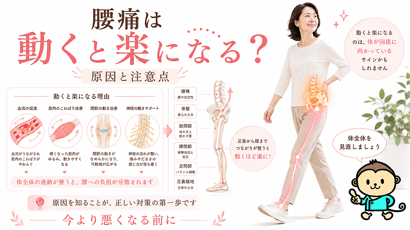 腰痛が動くと楽になる理由を、筋肉・関節・血流・神経の働きからわかりやすく解説したサムネイル画像です。朝や長時間座ったあとに腰が重く、少し歩くと楽になる腰痛について、腰だけでなく骨盤・股関節・膝・足首・足裏の連動が関係することを医療図解で表現しています。大分市で動き始めの腰痛に悩む方へ、今より悪くなる前に体全体を見直す大切さを伝える画像です。 腰痛が動くと楽になる理由を、筋肉・関節・血流・神経の働きからわかりやすく解説したサムネイル画像です。朝や長時間座ったあとに腰が重く、少し歩くと楽になる腰痛について、腰だけでなく骨盤・股関節・膝・足首・足裏の連動が関係することを医療図解で表現しています。大分市で動き始めの腰痛に悩む方へ、今より悪くなる前に体全体を見直す大切さを伝える画像です。