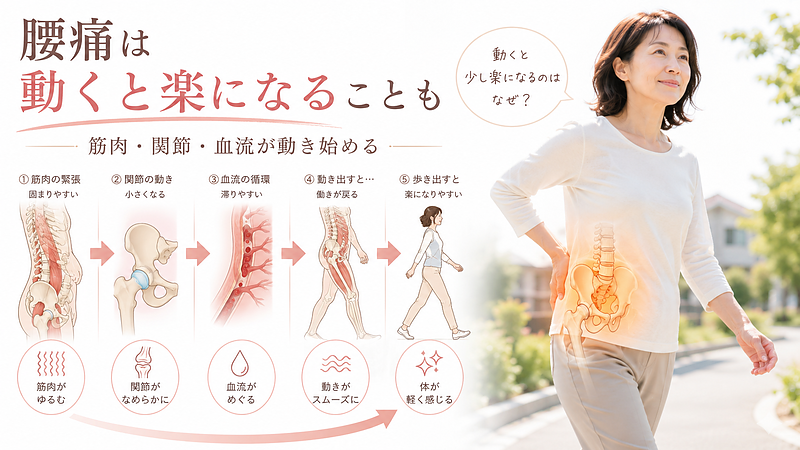 腰痛が動くと楽になる理由を、筋肉・関節・血流が動き始める仕組みから解説した画像です。朝起きた直後や長く座ったあとに腰が重い方に向けて、体を動かすことで腰まわりのこわばりがゆるみ、血流や関節の動きが回復しやすくなることを視覚的に表現しています。 腰痛が動くと楽になる理由を、筋肉・関節・血流が動き始める仕組みから解説した画像です。朝起きた直後や長く座ったあとに腰が重い方に向けて、体を動かすことで腰まわりのこわばりがゆるみ、血流や関節の動きが回復しやすくなることを視覚的に表現しています。