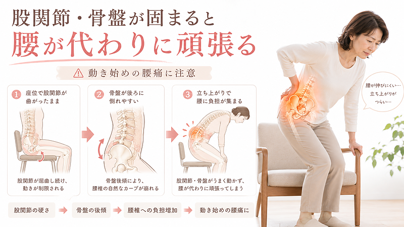 股関節や骨盤の動きが固まることで、立ち上がり時に腰へ負担が集中しやすくなる仕組みを解説した画像です。座ったあとに腰が伸びにくい、動き始めに腰が痛い方へ、腰椎・骨盤・股関節の連動が腰痛に関係することを医療図解で表現しています。 股関節や骨盤の動きが固まることで、立ち上がり時に腰へ負担が集中しやすくなる仕組みを解説した画像です。座ったあとに腰が伸びにくい、動き始めに腰が痛い方へ、腰椎・骨盤・股関節の連動が腰痛に関係することを医療図解で表現しています。