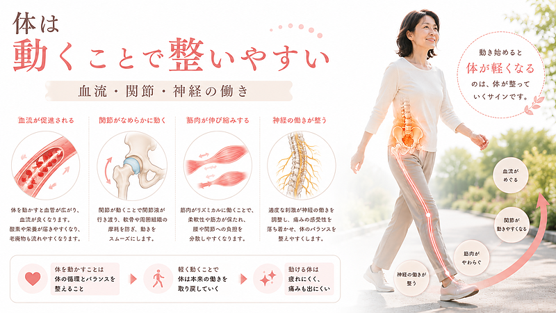 体は動くことで血流・関節・筋肉・神経の働きが整いやすくなることを解説した画像です。腰痛が動くと楽になる背景には、運動による循環の改善や関節の滑らかな動きが関係することを、40〜50代女性にもわかりやすい医療図解で表現しています。 体は動くことで血流・関節・筋肉・神経の働きが整いやすくなることを解説した画像です。腰痛が動くと楽になる背景には、運動による循環の改善や関節の滑らかな動きが関係することを、40〜50代女性にもわかりやすい医療図解で表現しています。