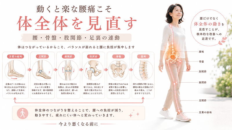 動くと楽になる腰痛こそ、腰だけでなく体全体の動きを見直すことが大切だと伝えるまとめ画像です。腰・骨盤・股関節・膝・足首・足裏の連動を医療図解で示し、動き始めの腰痛や繰り返す腰の重だるさに対して、体全体のバランスを確認する重要性を表現しています。 動くと楽になる腰痛こそ、腰だけでなく体全体の動きを見直すことが大切だと伝えるまとめ画像です。腰・骨盤・股関節・膝・足首・足裏の連動を医療図解で示し、動き始めの腰痛や繰り返す腰の重だるさに対して、体全体のバランスを確認する重要性を表現しています。