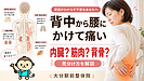 背中から腰にかけて痛い原因｜内臓の病気と筋肉・背骨の問題の見分け方