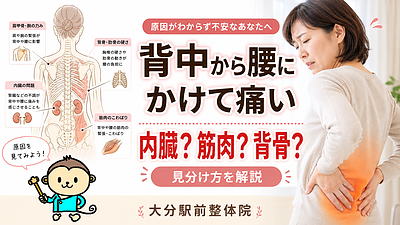 背中から腰にかけて痛い原因｜内臓の病気と筋肉・背骨の問題の見分け方