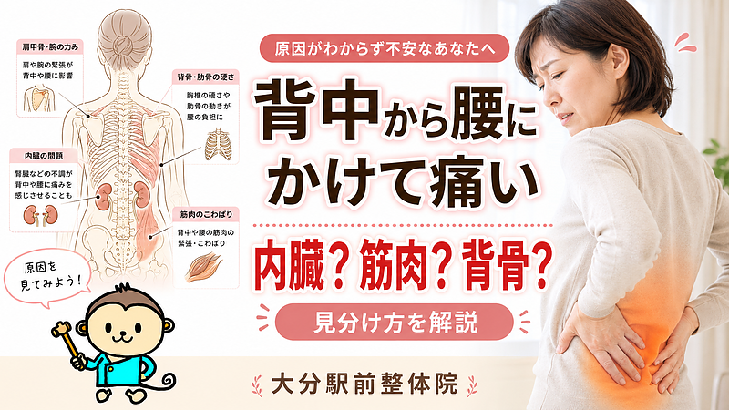 背中から腰にかけて痛みを感じる方へ向けて、内臓・筋肉・背骨・肋骨・肩甲骨など複数の原因を視覚的に整理したアイキャッチ画像です。背中から腰の痛みを「ただの腰痛」と決めつけず、体のどこに負担が集まっているのか、また注意が必要な症状がないかを確認する大切さを伝えています。