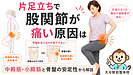 片足立ちで股関節が痛い原因は｜中殿筋・小殿筋と骨盤の安定性から解説