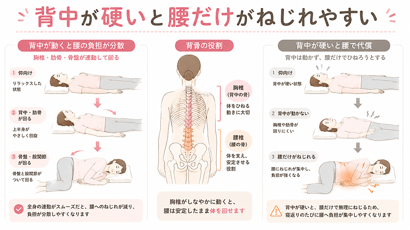 背中や肋骨まわりが硬くなると、寝返り時に上半身がスムーズに回りにくくなります。その分、腰が代わりにひねられやすくなり、腰の関節や筋肉に負担がかかりやすくなります。