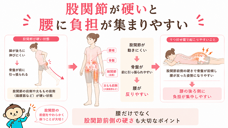 股関節前側の硬さが、骨盤や腰の負担につながる仕組みを示した図解です。股関節が動きにくいと骨盤が前に引っ張られやすくなり、うつ伏せ寝の姿勢で腰が反りやすくなることを視覚的に説明しています。