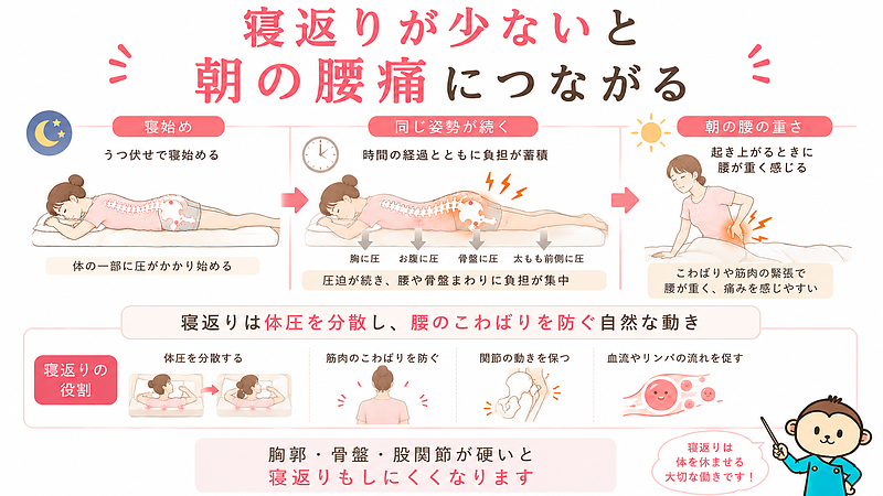 寝返りの少なさと朝の腰痛の関係を、夜から朝までの時間経過で示した図解です。同じ姿勢が続くことで胸・お腹・骨盤・太もも前側に圧がかかり、腰や骨盤まわりに負担が蓄積しやすいことを説明しています。