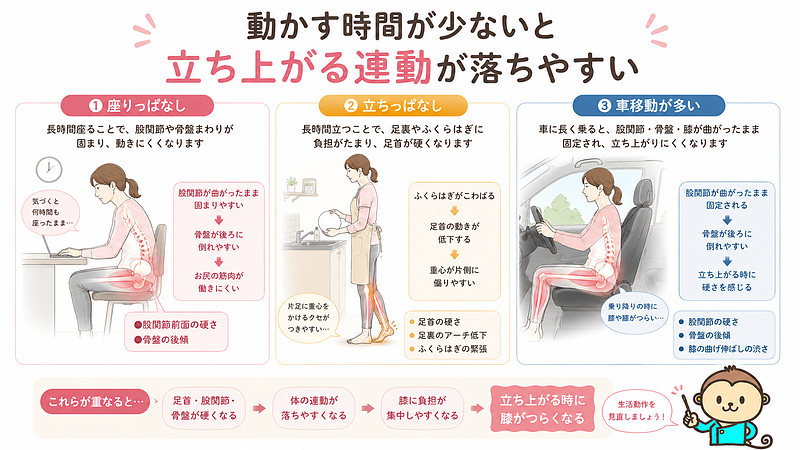座りっぱなし、立ちっぱなし、車移動が多い生活習慣によって、足首・股関節・骨盤が硬くなり、立ち上がる時の体の連動が落ちやすくなることを解説した画像です。日常動作の積み重ねが膝への負担につながることをわかりやすく示しています。 座りっぱなし、立ちっぱなし、車移動が多い生活習慣によって、足首・股関節・骨盤が硬くなり、立ち上がる時の体の連動が落ちやすくなることを解説した画像です。日常動作の積み重ねが膝への負担につながることをわかりやすく示しています。