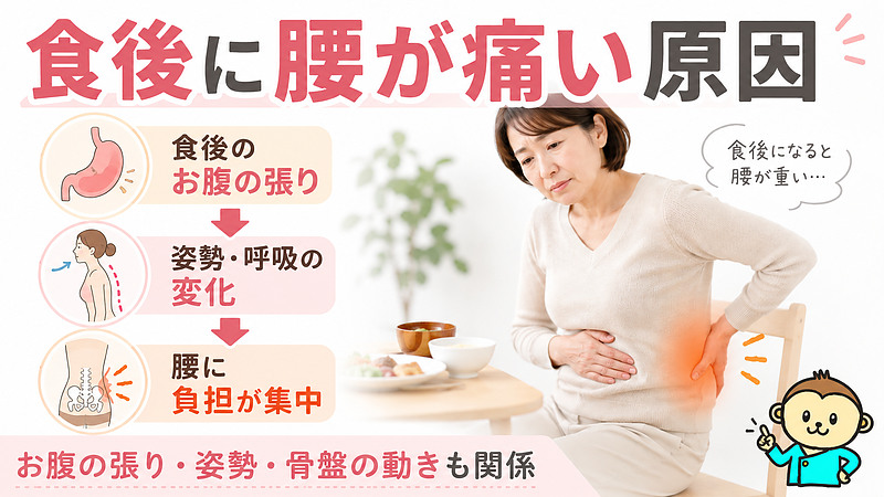 食後にお腹が張ることで姿勢や呼吸が変化し、腰に負担が集中する流れを分かりやすく示したサムネイル画像です。食後に腰が重くなる原因を、胃腸の張り・骨盤の動き・腰への負担という視点から伝えています。 食後にお腹が張ることで姿勢や呼吸が変化し、腰に負担が集中する流れを分かりやすく示したサムネイル画像です。食後に腰が重くなる原因を、胃腸の張り・骨盤の動き・腰への負担という視点から伝えています。