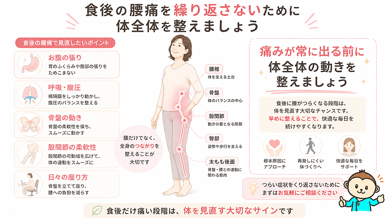 食後の腰痛を繰り返さないために見直したいポイントをまとめた来院導線画像です。お腹の張り、呼吸・腹圧、骨盤の動き、股関節の柔軟性、日々の座り方を整え、痛みが常に出る前に体全体を見直す大切さを伝えています。 食後の腰痛を繰り返さないために見直したいポイントをまとめた来院導線画像です。お腹の張り、呼吸・腹圧、骨盤の動き、股関節の柔軟性、日々の座り方を整え、痛みが常に出る前に体全体を見直す大切さを伝えています。