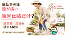 庭仕事の膝痛は、しゃがんでいる時間だけでなく股関節・足首の硬さが関係