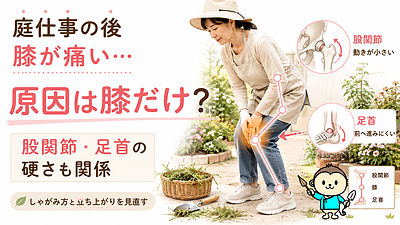 庭仕事の膝痛は、しゃがんでいる時間だけでなく股関節・足首の硬さが関係