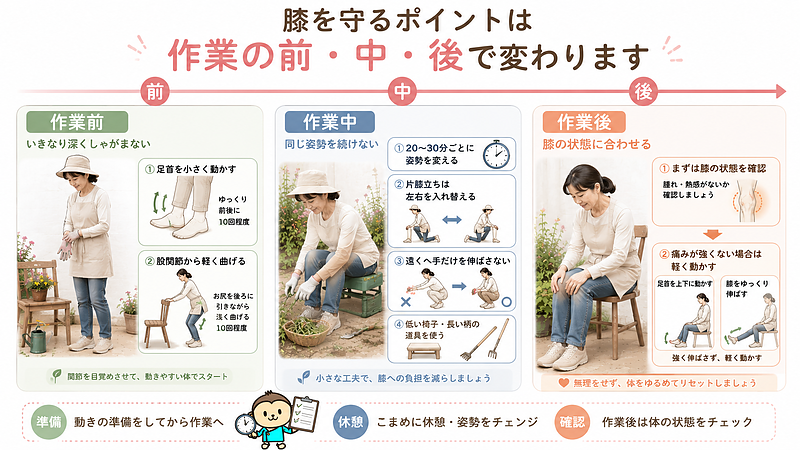 庭仕事で膝を守るために見直したいポイントを、作業前・作業中・作業後の時間軸に分けて紹介した画像です。作業前は足首と股関節を小さく動かし、いきなり深くしゃがまないようにします。作業中は同じ姿勢を続けず、片膝立ちの左右を入れ替え、低い椅子や長い柄の道具を活用します。作業後は膝の腫れや熱感を確認し、強い痛みがなければ、痛みのない範囲で足首や膝を軽く動かします。準備、休憩、確認という流れで、膝への負担を減らす工夫をまとめています。 庭仕事で膝を守るために見直したいポイントを、作業前・作業中・作業後の時間軸に分けて紹介した画像です。作業前は足首と股関節を小さく動かし、いきなり深くしゃがまないようにします。作業中は同じ姿勢を続けず、片膝立ちの左右を入れ替え、低い椅子や長い柄の道具を活用します。作業後は膝の腫れや熱感を確認し、強い痛みがなければ、痛みのない範囲で足首や膝を軽く動かします。準備、休憩、確認という流れで、膝への負担を減らす工夫をまとめています。