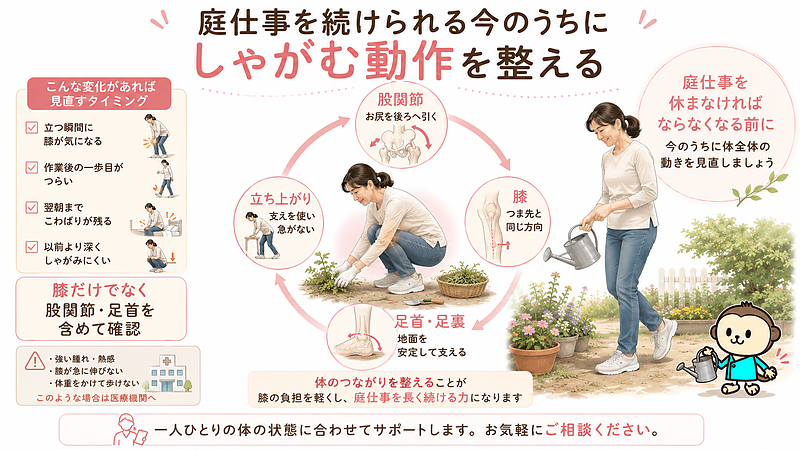 庭仕事を続けられる今の段階で、しゃがむ動作を見直す大切さをまとめた画像です。中央の円形図では、股関節でお尻を後ろへ引く、膝とつま先の向きをそろえる、足首と足裏で地面を支える、支えを使って急がず立ち上がるという4つのポイントを示しています。立つ瞬間の膝の違和感、作業後の一歩目のつらさ、翌朝まで残るこわばり、以前より深くしゃがみにくいといった変化は、体の使い方を見直すタイミングです。膝だけでなく、股関節や足首を含めた体全体の動きを確認し、今よりも悪くなる前に早めに整える必要性を伝えています。 庭仕事を続けられる今の段階で、しゃがむ動作を見直す大切さをまとめた画像です。中央の円形図では、股関節でお尻を後ろへ引く、膝とつま先の向きをそろえる、足首と足裏で地面を支える、支えを使って急がず立ち上がるという4つのポイントを示しています。立つ瞬間の膝の違和感、作業後の一歩目のつらさ、翌朝まで残るこわばり、以前より深くしゃがみにくいといった変化は、体の使い方を見直すタイミングです。膝だけでなく、股関節や足首を含めた体全体の動きを確認し、今よりも悪くなる前に早めに整える必要性を伝えています。