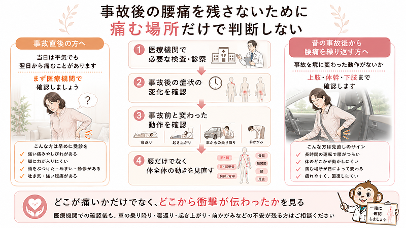 交通事故後に腰痛を長引かせないための確認手順をまとめた画像です。まず医療機関で必要な検査と診察を受け、その後の症状の変化を確認します。さらに、寝返り、起き上がり、車からの乗り降り、前かがみなど、事故前と比べて変わった動作がないかを見直します。腰だけでなく、手、肩、胸郭、骨盤、股関節、膝、足首まで体全体の動きを確認することが大切です。事故直後の方だけでなく、昔の交通事故後から腰痛を繰り返している方にも、痛む場所だけではなく、衝撃がどこから伝わった可能性があるかを見る必要性を伝えるまとめ画像です。 交通事故後に腰痛を長引かせないための確認手順をまとめた画像です。まず医療機関で必要な検査と診察を受け、その後の症状の変化を確認します。さらに、寝返り、起き上がり、車からの乗り降り、前かがみなど、事故前と比べて変わった動作がないかを見直します。腰だけでなく、手、肩、胸郭、骨盤、股関節、膝、足首まで体全体の動きを確認することが大切です。事故直後の方だけでなく、昔の交通事故後から腰痛を繰り返している方にも、痛む場所だけではなく、衝撃がどこから伝わった可能性があるかを見る必要性を伝えるまとめ画像です。