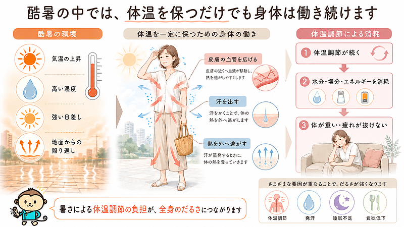 酷暑では、体温を一定に保つために発汗や血管の調節が続きます。暑さによる体温調節の負担に、水分・塩分の消耗や睡眠不足、食欲低下が重なることで、全身のだるさや疲れが抜けにくい状態につながることを表した画像です。 酷暑では、体温を一定に保つために発汗や血管の調節が続きます。暑さによる体温調節の負担に、水分・塩分の消耗や睡眠不足、食欲低下が重なることで、全身のだるさや疲れが抜けにくい状態につながることを表した画像です。