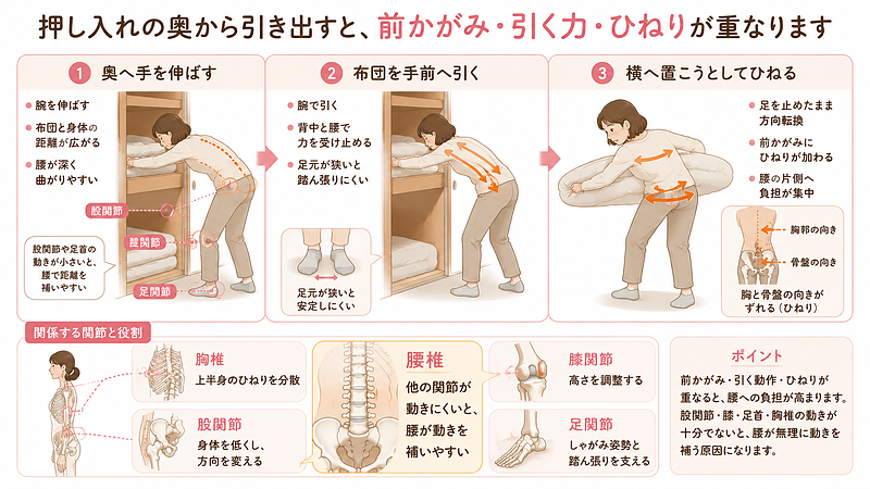 押し入れの奥へ手を伸ばし、布団を引き出して横へ移す動作では、前かがみ、引く力、ひねりが重なります。股関節や膝、足首、胸椎が動きにくいと、腰が動きを補い負担が集中しやすくなることを解説しています。 押し入れの奥へ手を伸ばし、布団を引き出して横へ移す動作では、前かがみ、引く力、ひねりが重なります。股関節や膝、足首、胸椎が動きにくいと、腰が動きを補い負担が集中しやすくなることを解説しています。