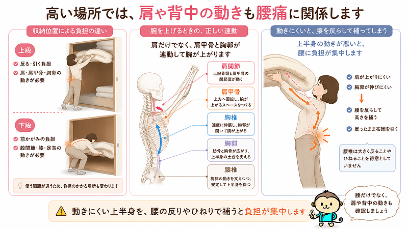 押し入れの下段では前かがみ、上段では腕を上げて腰を反らす負担が生じます。肩や肩甲骨、胸郭が動きにくいと、腰の反りやひねりで動きを補い、腰痛につながりやすくなることを示した画像です。 押し入れの下段では前かがみ、上段では腕を上げて腰を反らす負担が生じます。肩や肩甲骨、胸郭が動きにくいと、腰の反りやひねりで動きを補い、腰痛につながりやすくなることを示した画像です。