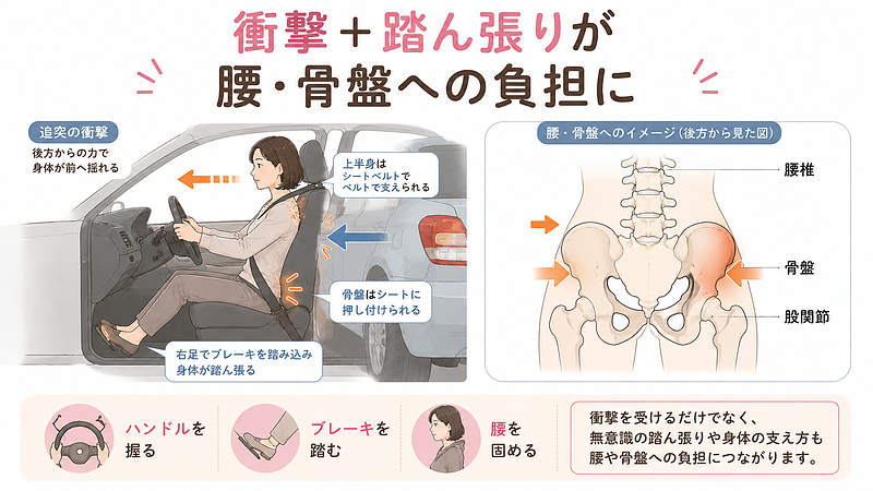 追突時の身体の揺れに加え、ハンドルを握る、ブレーキを踏む、腰を固めるといった無意識の踏ん張りが、腰や骨盤への負担につながることを示した図です。