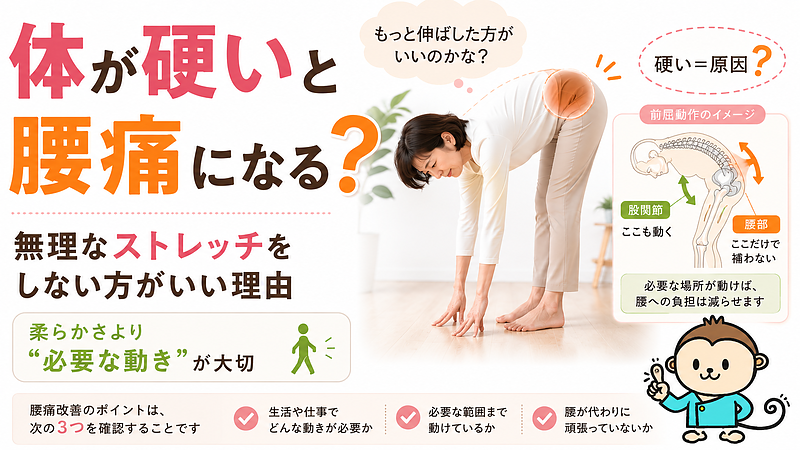 体が硬いことだけを腰痛の原因と考えず、前屈の柔らかさやストレッチの量ではなく、日常生活に必要な動きができているかを考えることの大切さを伝えるサムネイル画像です。