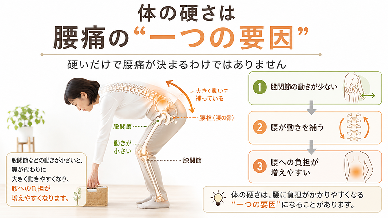股関節などの動きが小さいと、腰がその動きを補うことで負担が増える場合があります。体の硬さは腰痛に関係する一つの要因ですが、硬さだけで腰痛が決まるわけではありません。