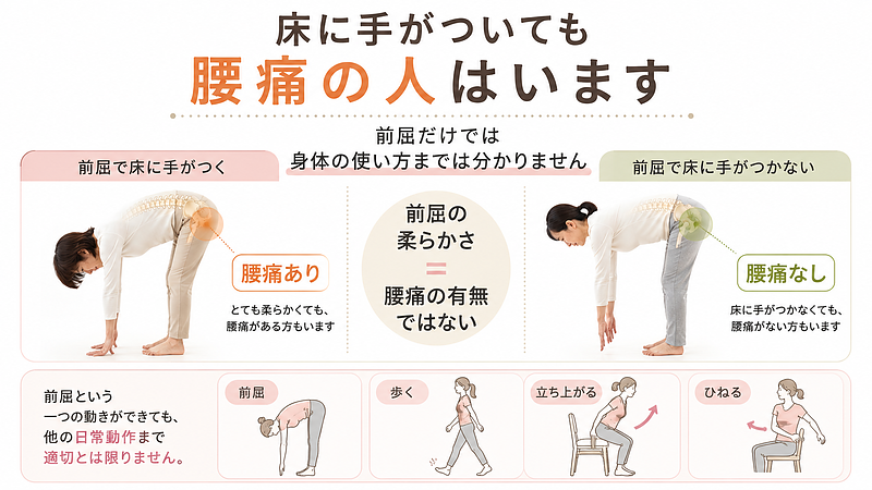 前屈で床に手がつくほど柔らかくても腰痛がある方はいます。前屈の柔らかさだけでは、歩く・立ち上がる・ひねるといった日常動作での身体の使い方までは判断できません。