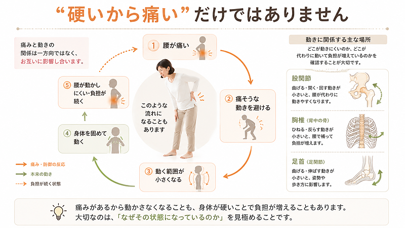 体が硬いために腰へ負担がかかる場合だけでなく、腰が痛いために動きを避け、身体を固めることで動く範囲が小さくなる場合もあります。痛みと硬さの関係を一方向だけで考えないことが重要です。