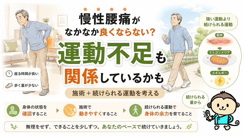 慢性腰痛がなかなか良くならない方へ、運動不足との関係や、施術と続けられる運動を組み合わせる大切さを伝えるサムネイル画像です。
