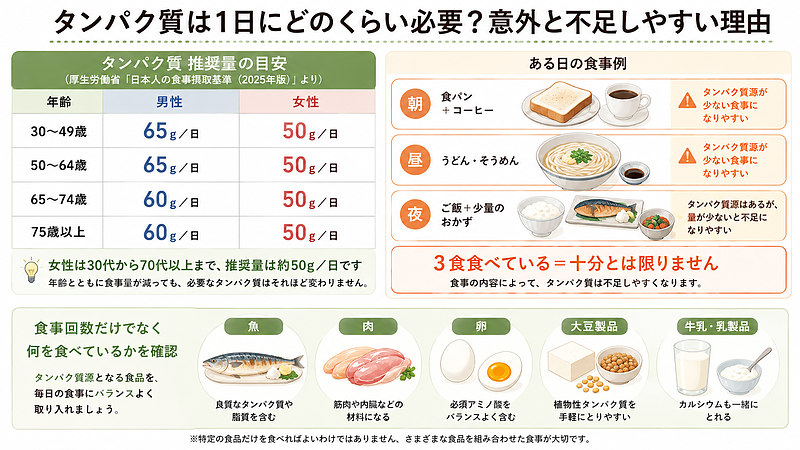 年代別・男女別の1日のタンパク質推奨量と、3食食べていても食事内容によってタンパク質が不足しやすい理由を、具体的な食事例と食品で示した図解です。