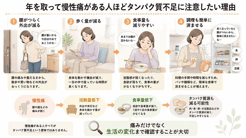 慢性痛によって外出や歩行量が減り、食事量や調理の手間も少なくなることで、タンパク質源を摂る機会が減る可能性を生活の流れで示した画像です。
