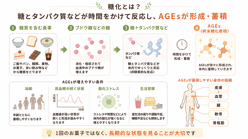 糖化とは、糖とタンパク質などが時間をかけて反応し、AGEsが形成・蓄積していく現象です。1回のお菓子ではなく、長期的な血糖状態や生活習慣を含めて考えることが大切です。