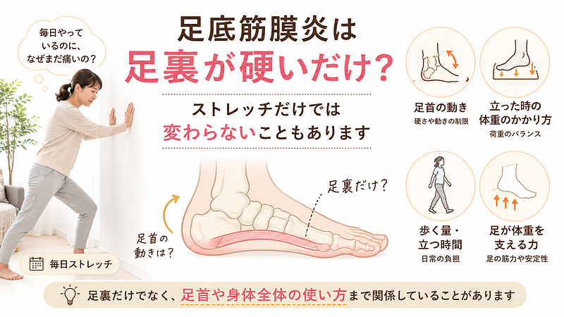 毎日ストレッチをしていても足底筋膜炎が改善しない場合は、足裏の硬さだけでなく、足首の動きや立った時の荷重、歩く量、足が体重を支える力なども関係している可能性があります。