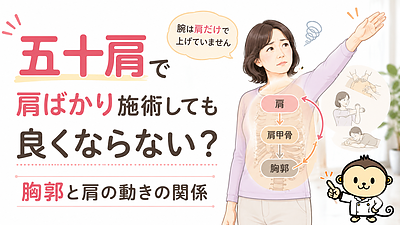 五十肩で肩ばかり施術しても良くならない？胸郭と肩の動きの関係