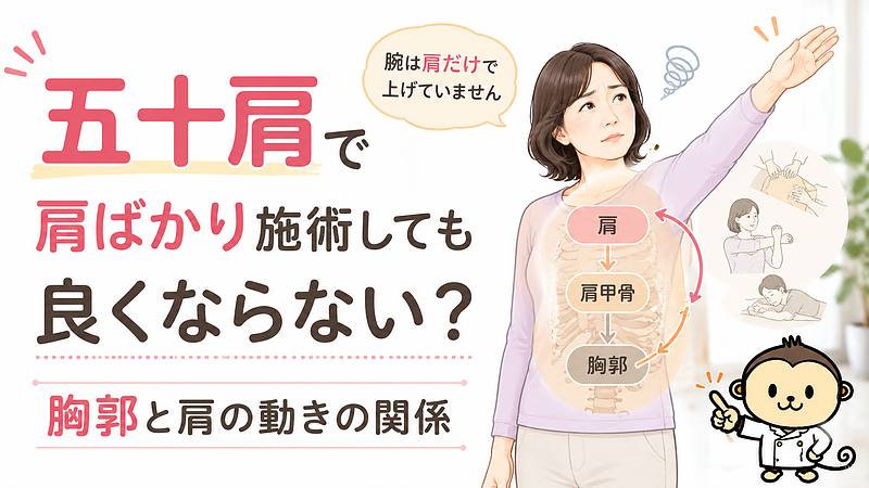五十肩で肩ばかり施術しても良くならない方へ、肩だけでなく肩甲骨や胸郭との動きの関係も確認する大切さを伝える記事のサムネイル画像です。