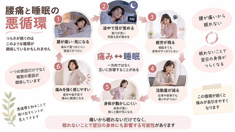 腰痛で眠れない状態が続くと、疲労や活動量の低下につながり、さらに痛みを感じやすくなる悪循環が起こることがあります。 腰痛で眠れない状態が続くと、疲労や活動量の低下につながり、さらに痛みを感じやすくなる悪循環が起こることがあります。