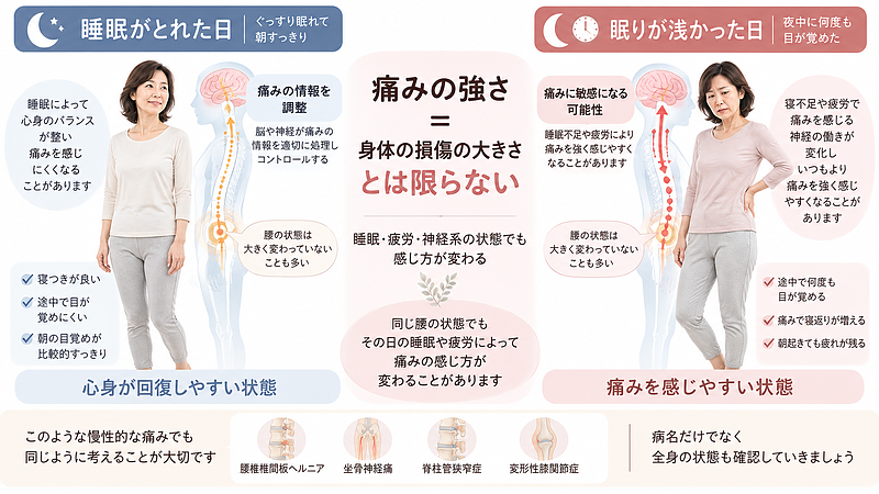 睡眠不足や疲労がある日は、腰の状態が大きく変わっていなくても、神経系の影響で痛みを強く感じることがあります。 睡眠不足や疲労がある日は、腰の状態が大きく変わっていなくても、神経系の影響で痛みを強く感じることがあります。